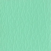 Premier T82 Mint